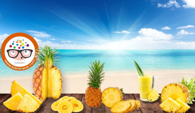 Ananasin faydalari nelerdir