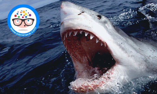 Dünyanın en vahşi hayvanları01