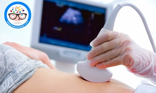 Ultrason ile gebelik testi, hamilelik testi