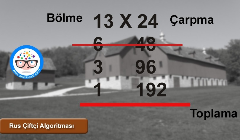 rus çiftçi algoritmasi