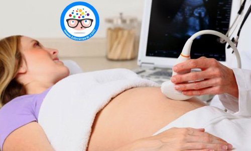 Bebeğin Cinsiyeti Ne Zaman Belli Olur?