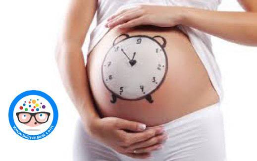 Muhtemel Doğum Tarihi Hesaplama