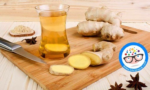 Zencefil Nasıl Demlenir Faydaları nelerdir