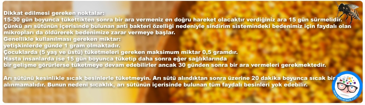 arı-sutu-03