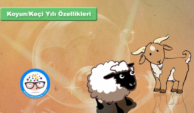 Koyun-Keçi Yılı Özellikleri