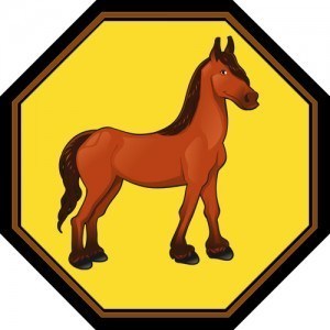 at yılı özellikleri