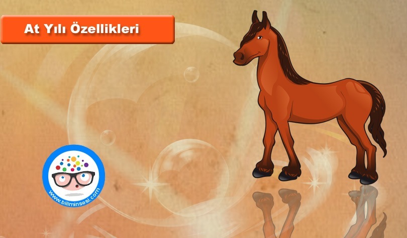 at yılı özellikleri