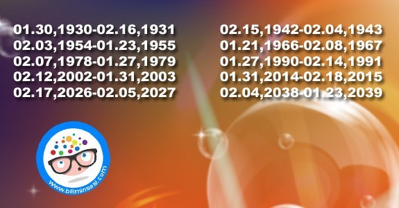 at yılı özellikleri