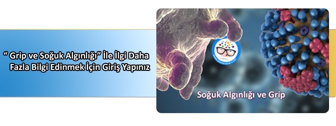 girp ve soğuk algınlığıı