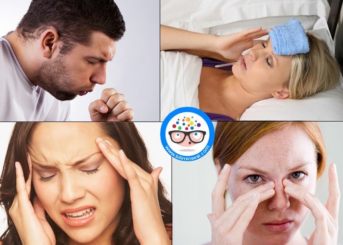 Gribe Ne İyi Gelir? BiliminSesi Sağlık ve Teknoloji