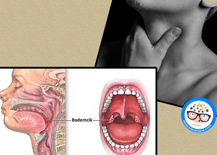 Bademcik İltihabı Nedir?
