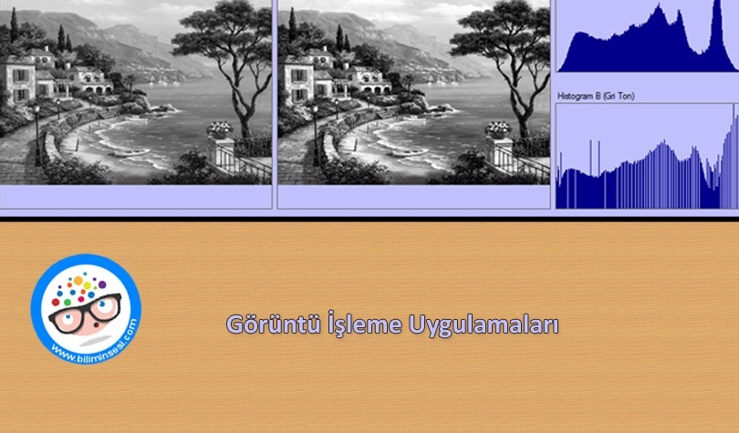 Görüntü İşleme Uygulamaları