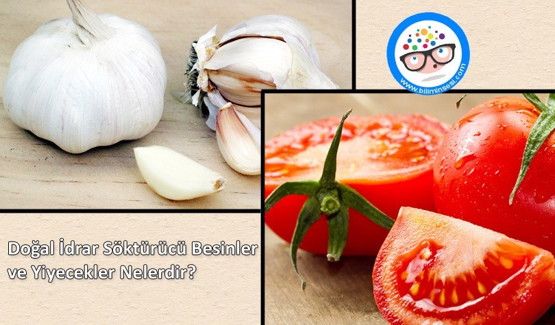 Doğal İdrar Söktürücü Besinler