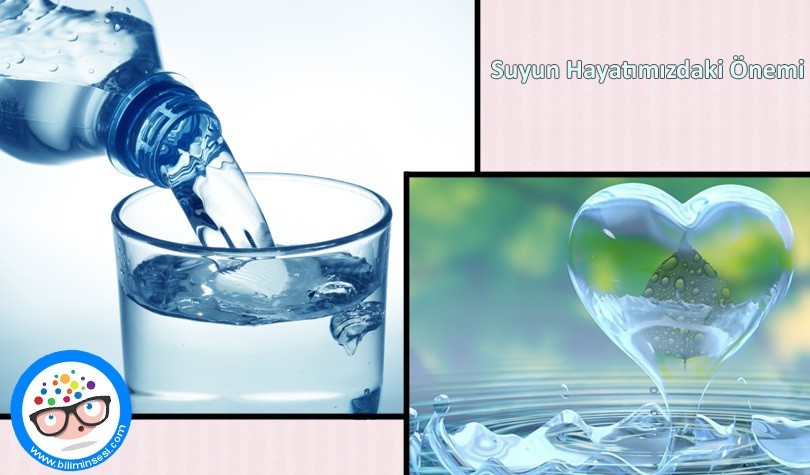 Suyun Hayatımızdaki Önemi