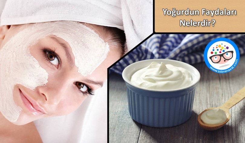 yoğurdun faydaları nelerdir