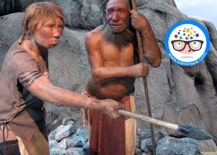 40 Bin Yıl Once Belcika’da İnsan Eti Yeniyordu!