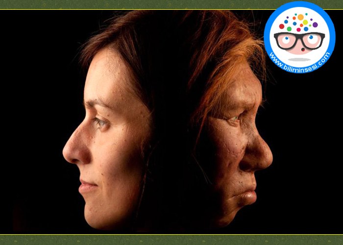 40 Bin Yıl Once Belcika’da İnsan Eti Yeniyordu!