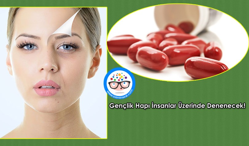 Genclik Hapi İnsanlar uzerinde Denenecek!