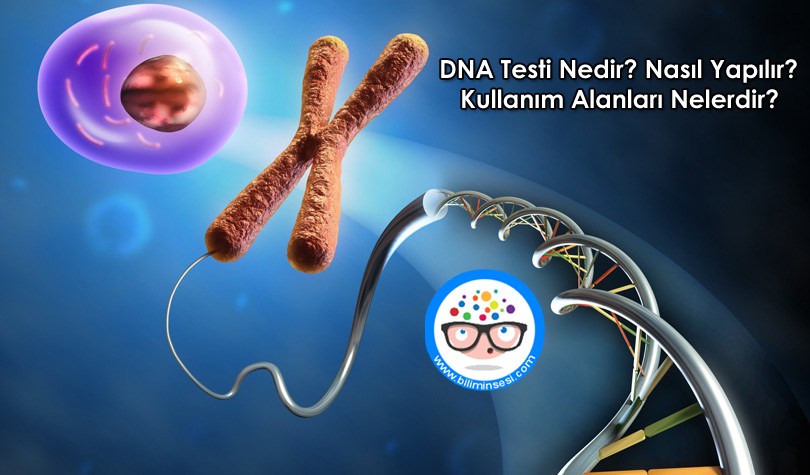 DNA Testi Nedir-Nasil Yaplır-Kullanim Alanlari Nelerdir