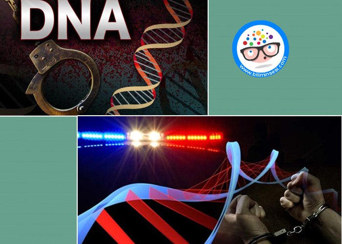 DNA Testi Nedir-Nasil Yaplır-Kullanim Alanlari Nelerdir