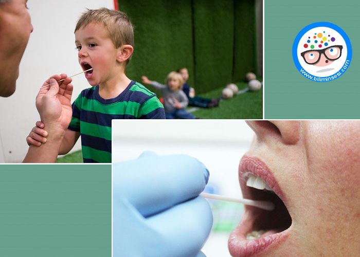 DNA Testi Nedir-Nasil Yaplır-Kullanim Alanlari Nelerdir