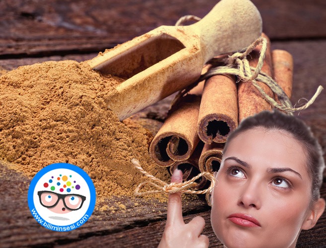 unutmak-istemiyorsaniz-tarcin-tuketin-