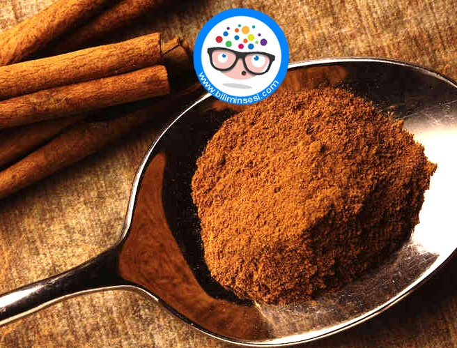 unutmak-istemiyorsaniz-tarcin-tuketin-