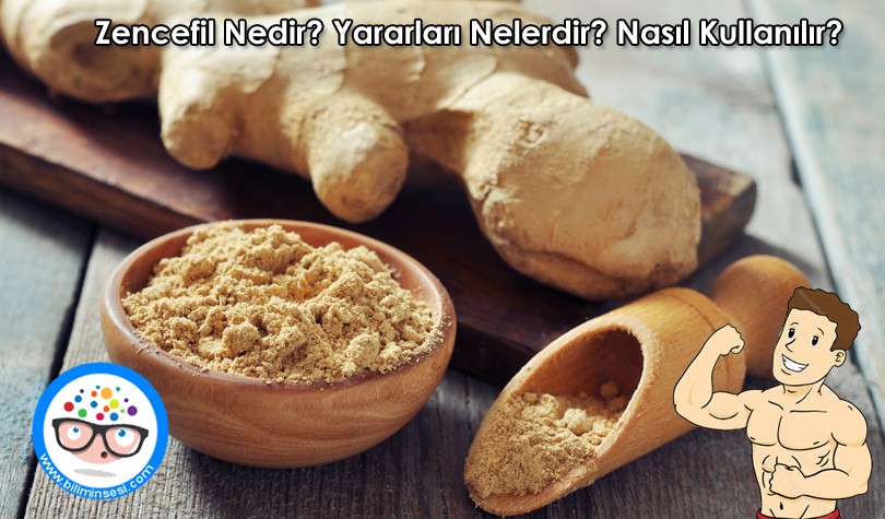 Zencefil Nedir- Yararlari Nelerdir-Nasil kullanilir