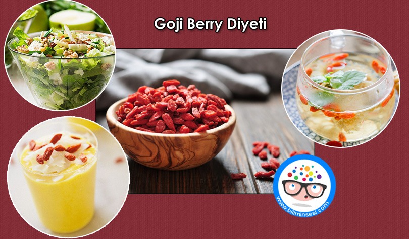 Goji-Berry-Diyeti