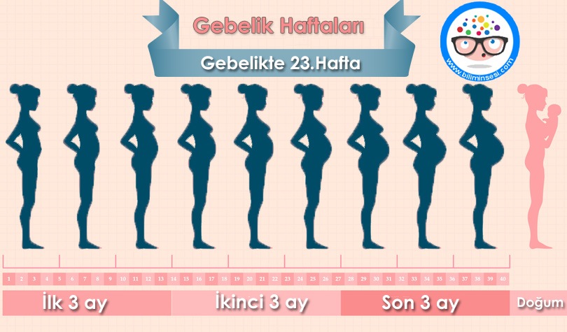 23 haftalik-gebelikte-neler-oluyor