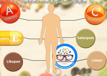 Antioksidanlarla ilgili Yararlı Bilgiler