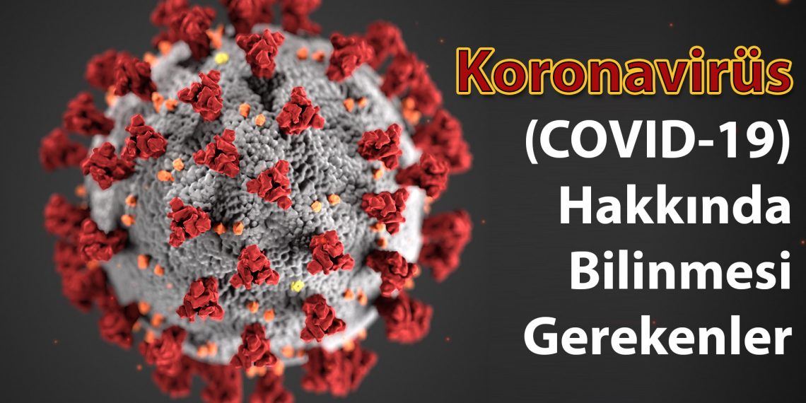 Koronavirüs (COVID-19) Hakkında Bilmeniz Gerekenler