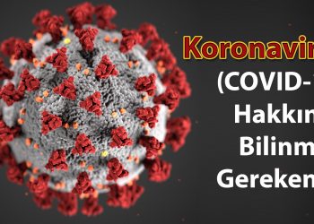 Koronavirüs (COVID-19) Hakkında Bilmeniz Gerekenler